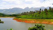 fort munnar 