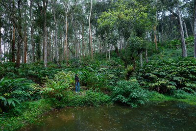 Fort Munnar