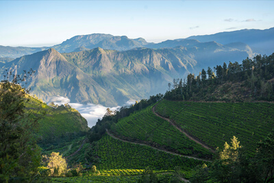 Fort Munnar