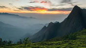 fort munnar 