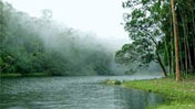 fort munnar 