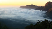 fort munnar 